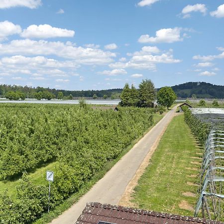 Ferienwohnung 'Haus Bluetenmeer' Langenargen Zewnętrze zdjęcie